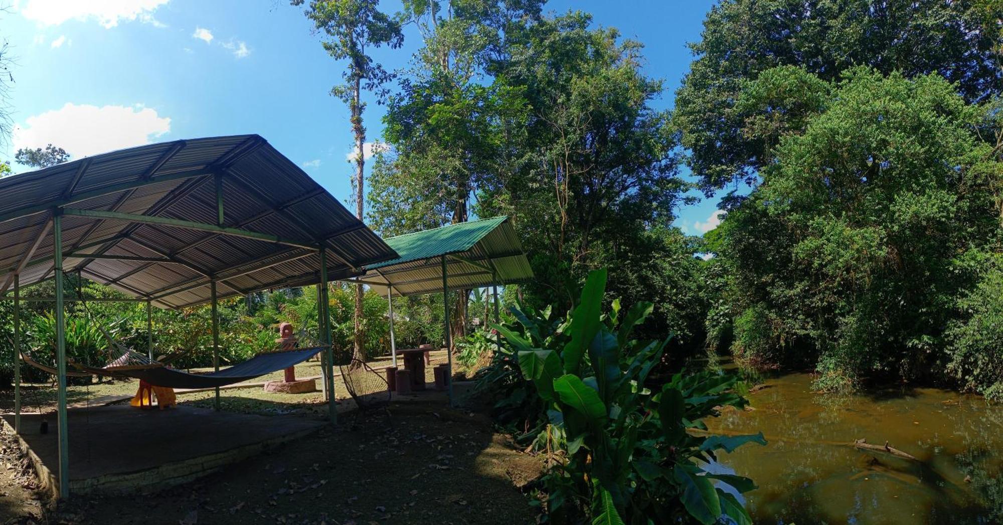 Finca La Paz - Sarapiqui Puerto Viejo de Sarapiqui Екстер'єр фото